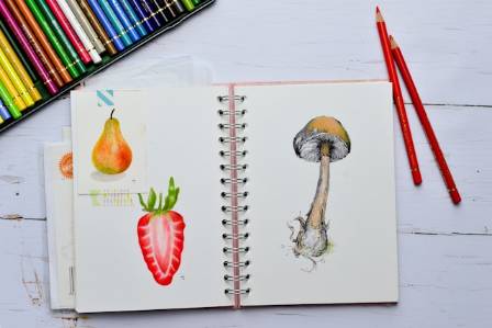How to Draw a Mushroom