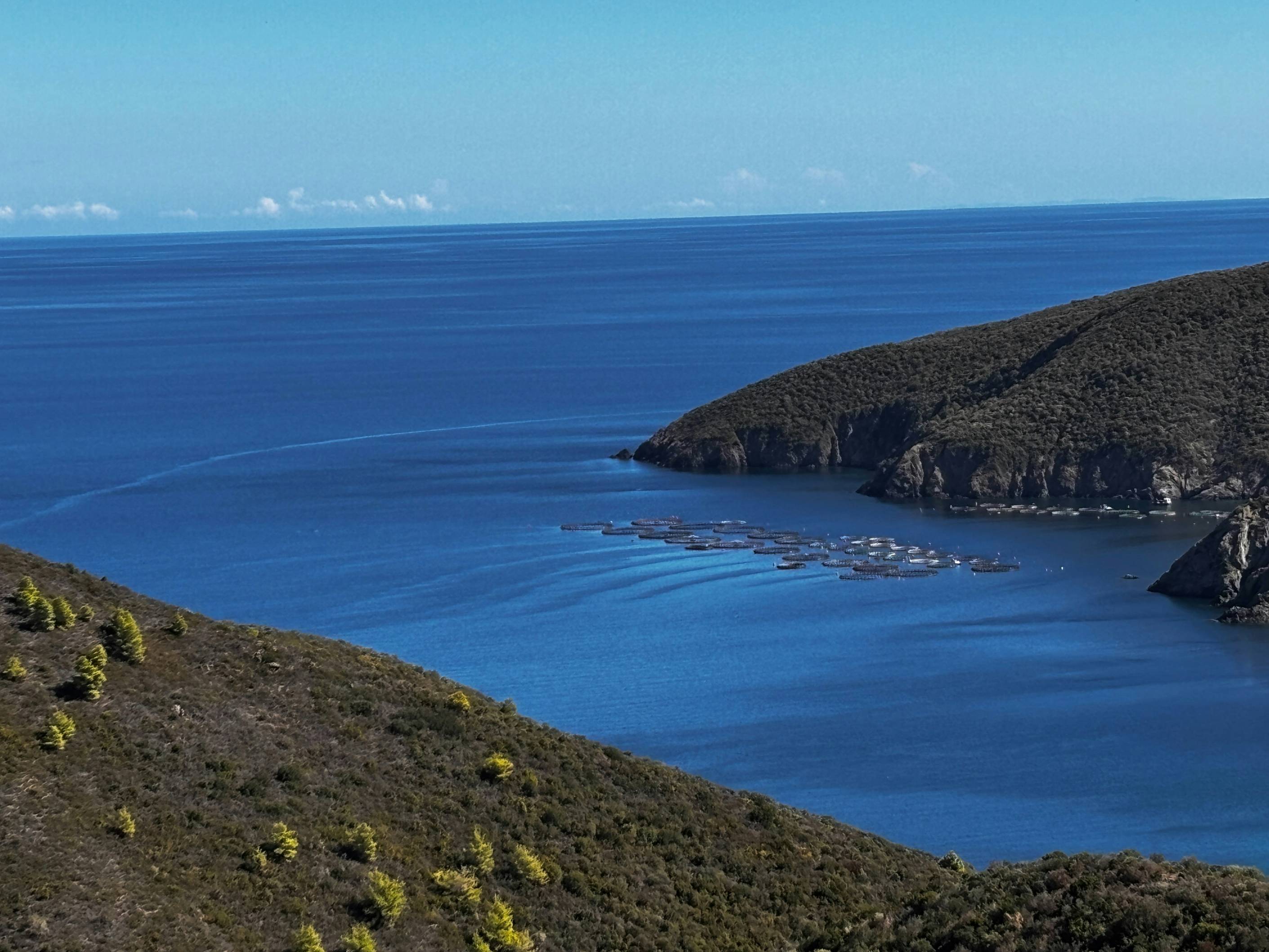 A large body of water sitting next to a lush green hillside