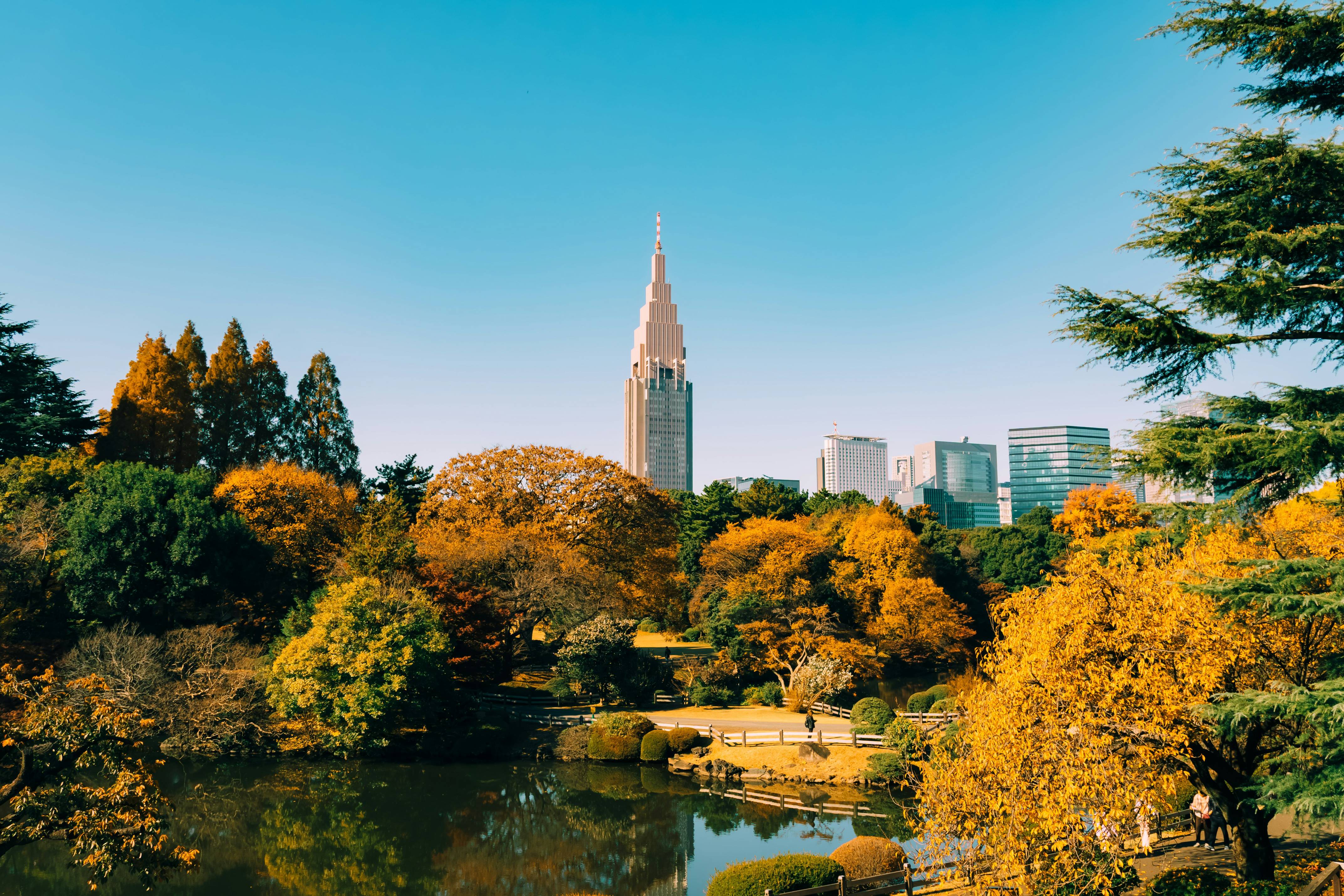 A lake surrounded by trees with a tall building in the background