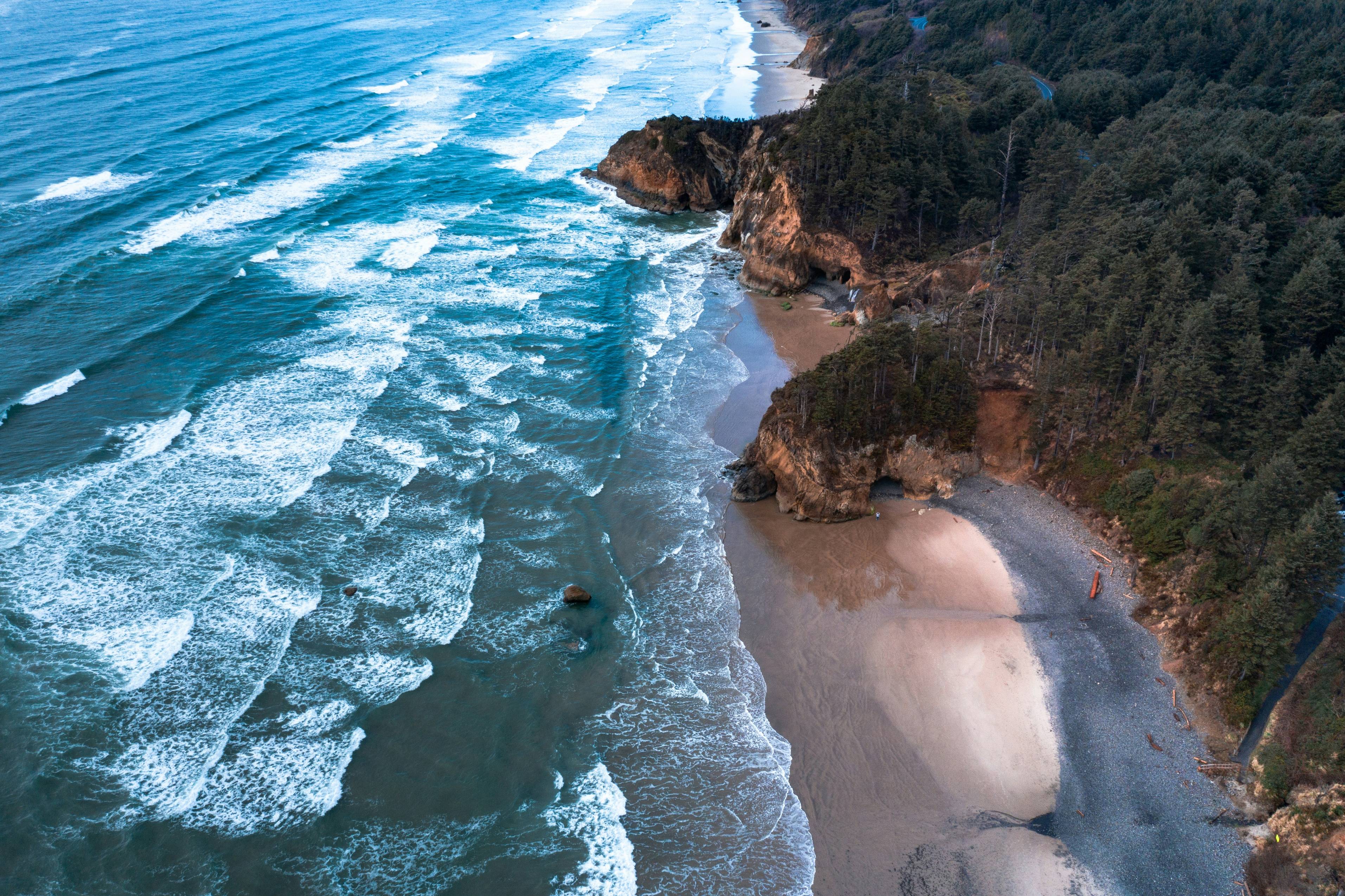 an aerial view of a beach and a forested area