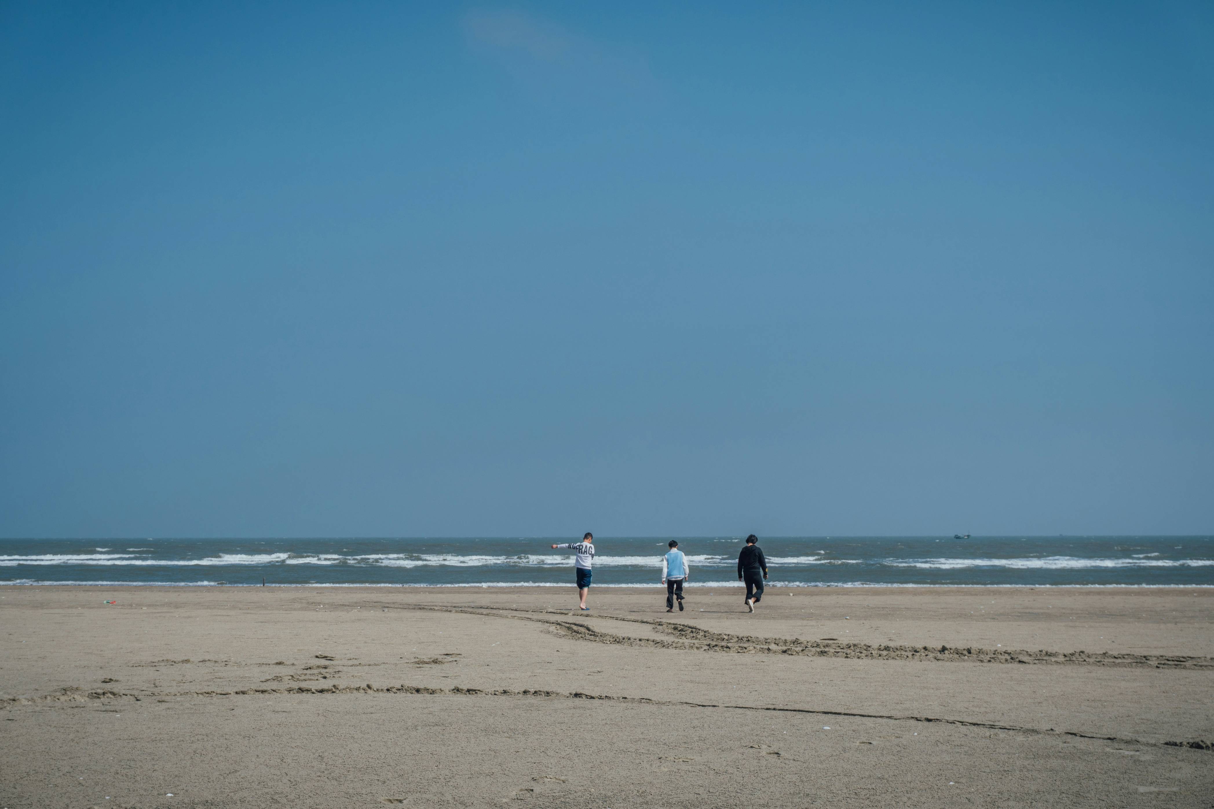 people walking on beach during daytime
