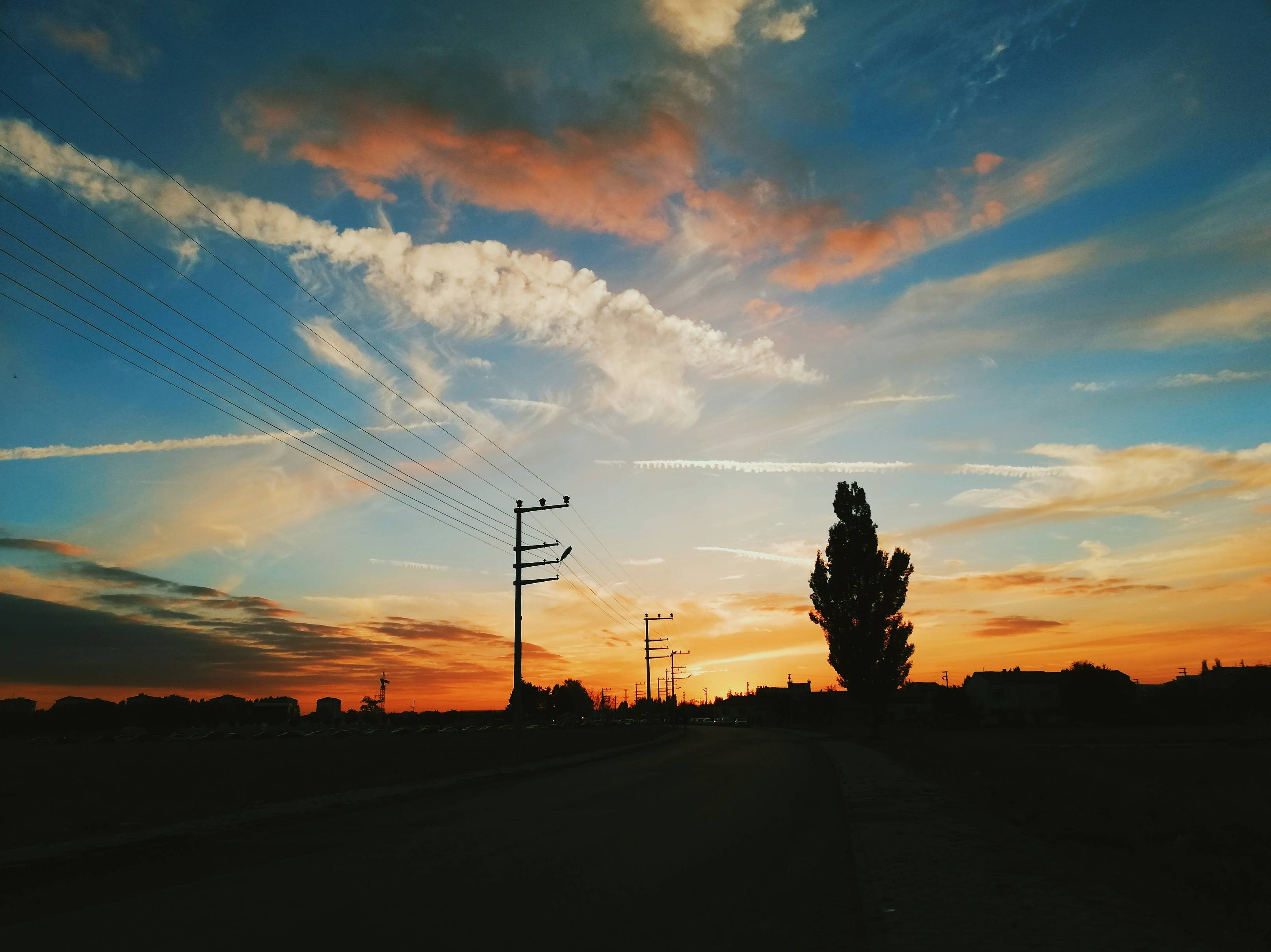 silhouette photo of trees and electric tower