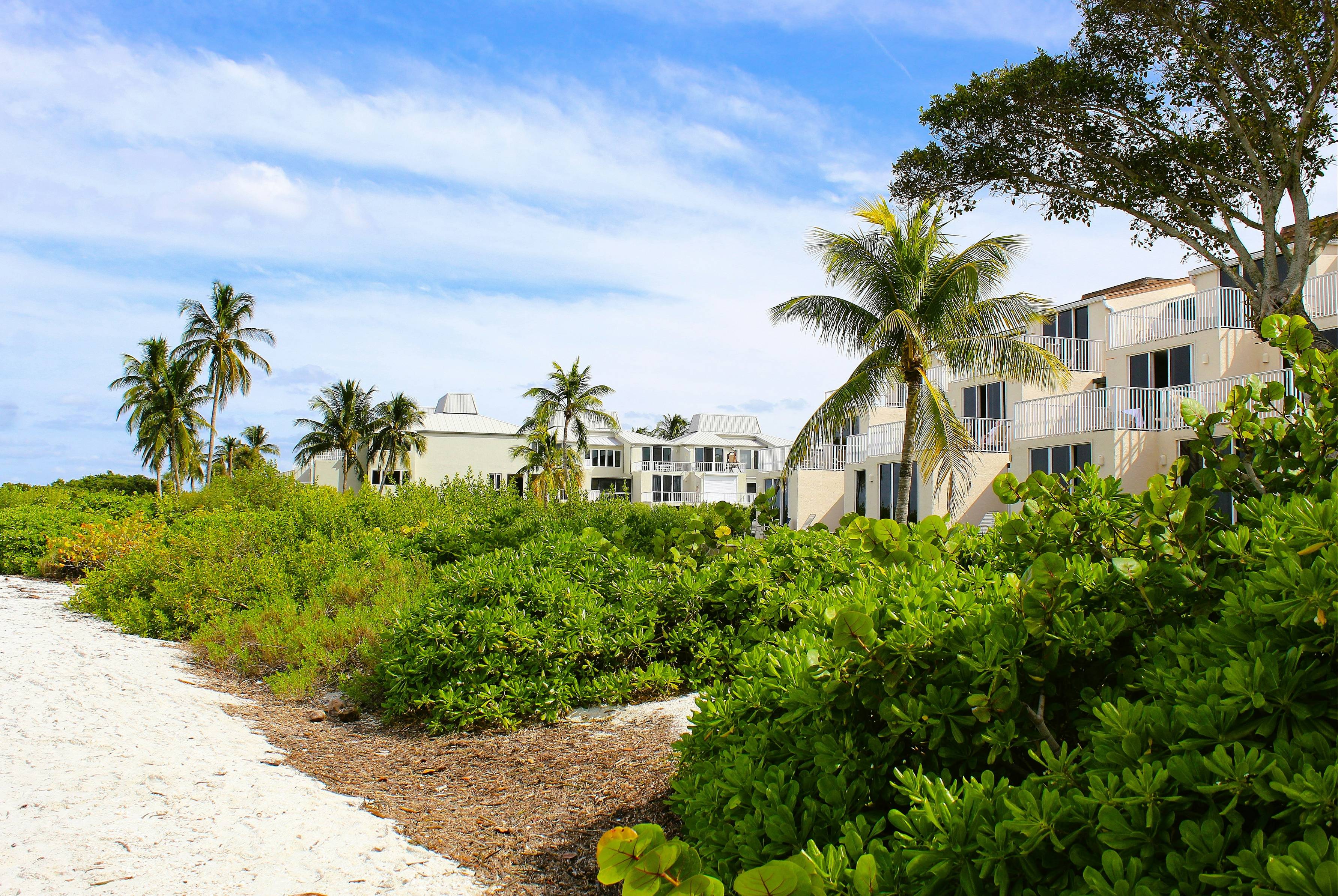 a sandy path leads to a row of beach houses