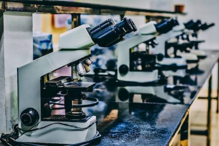 10 Notable Scientific Breakthroughs in 2023