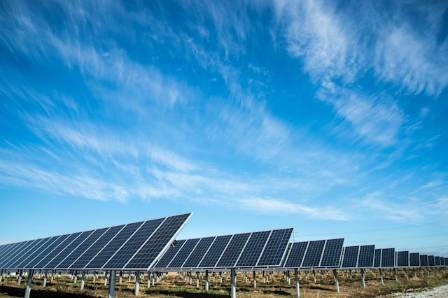 Green Energy Sites Protect Threatened Plant Life