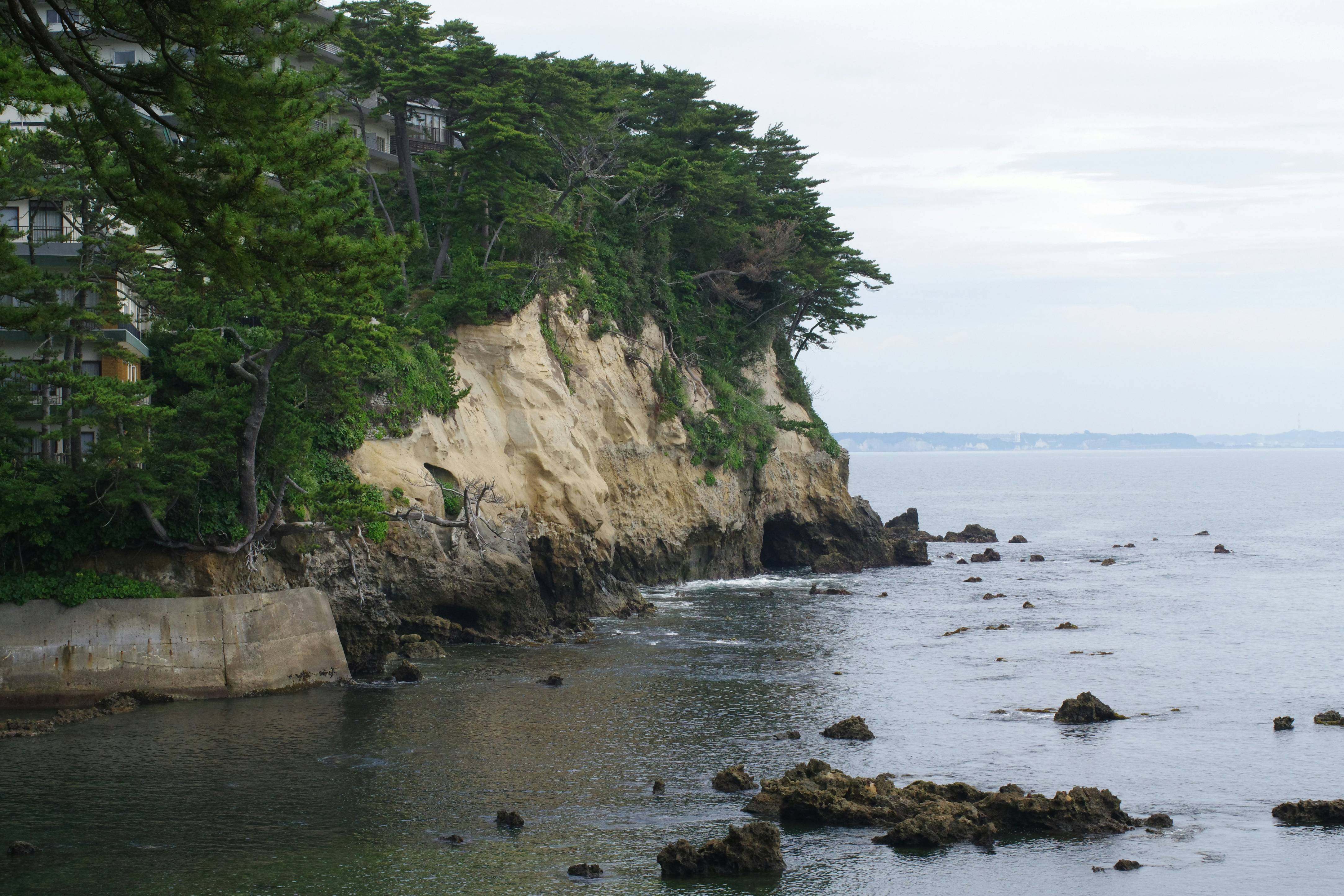 A large body of water surrounded by trees