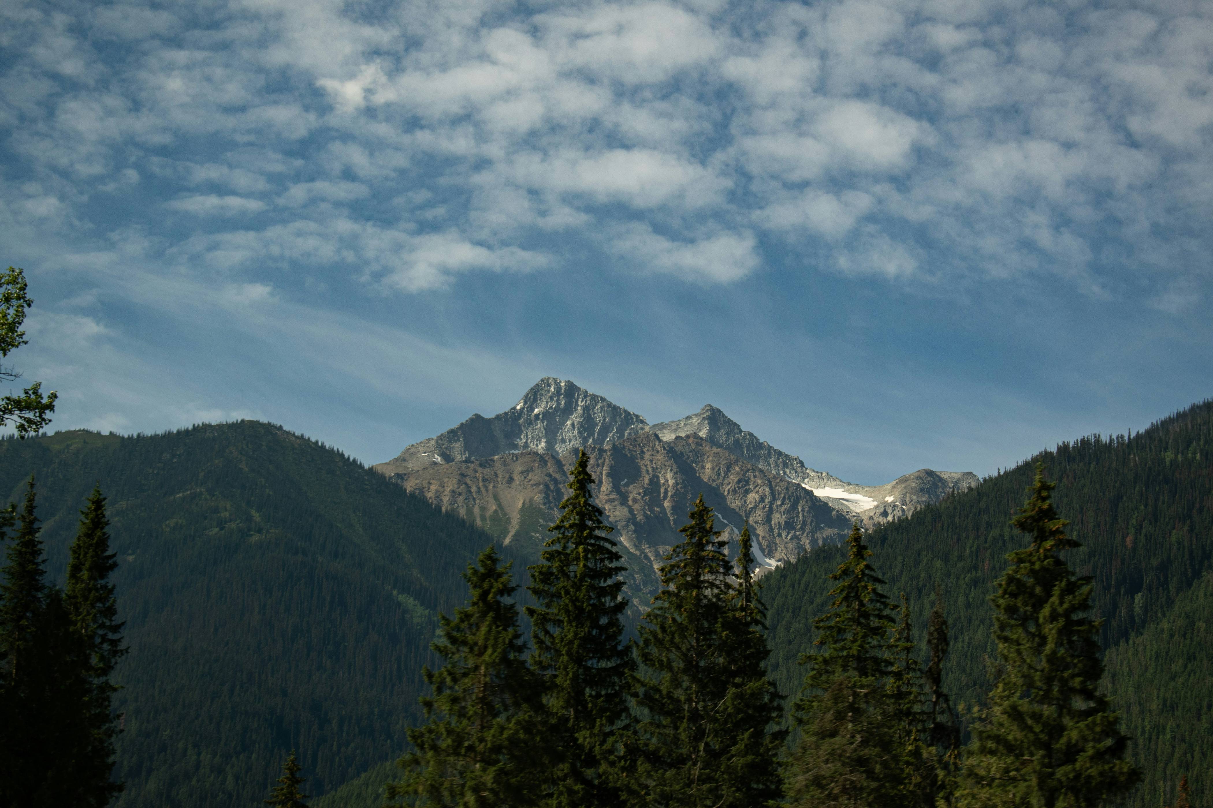 a mountain with trees in front of it