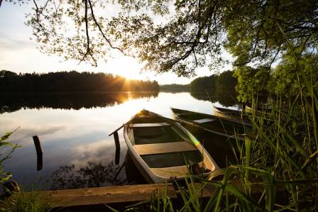 Bavarian Forest Excursions: Nature, Culture, and Hidden Gems