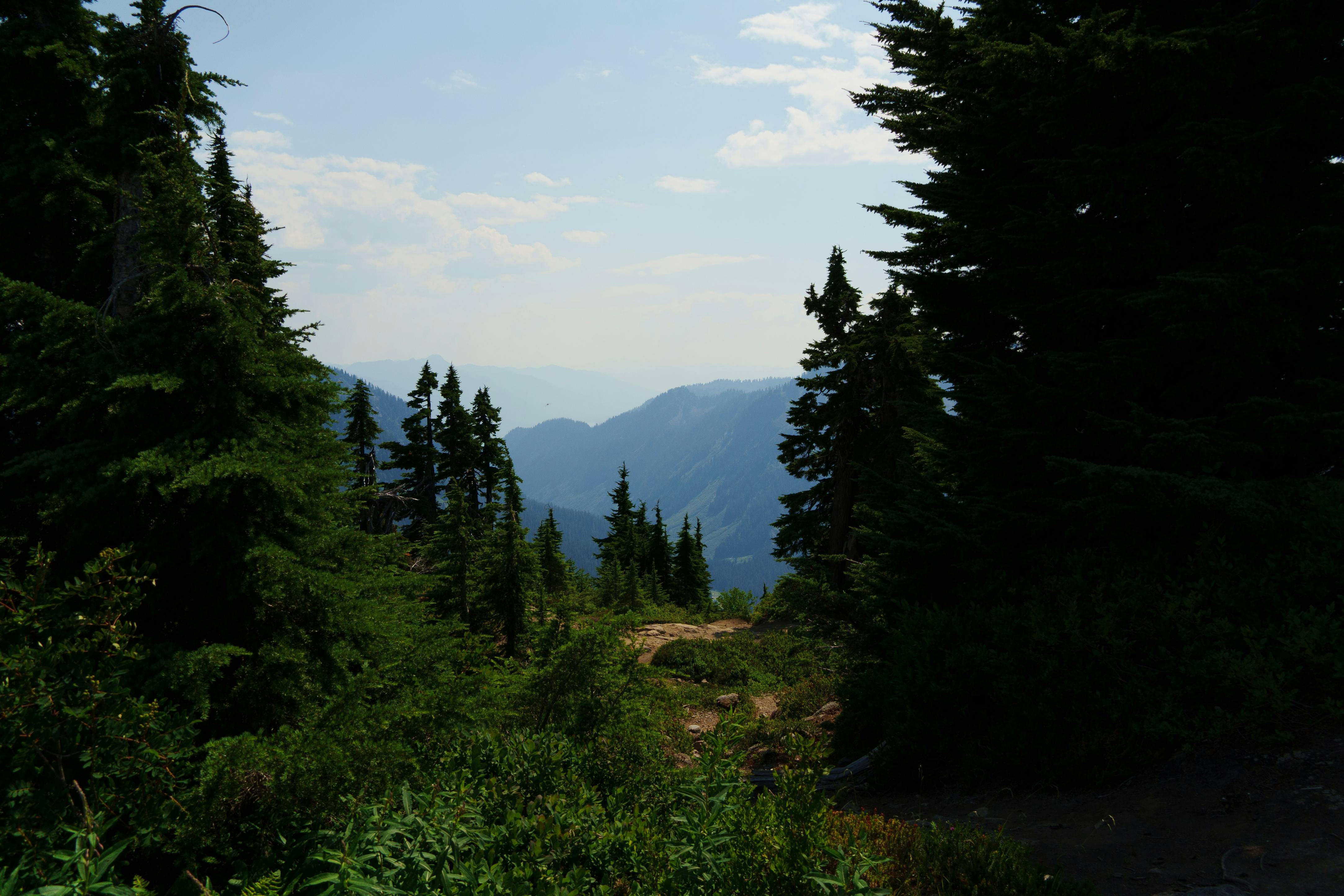 A view of the mountains from the top of a hill