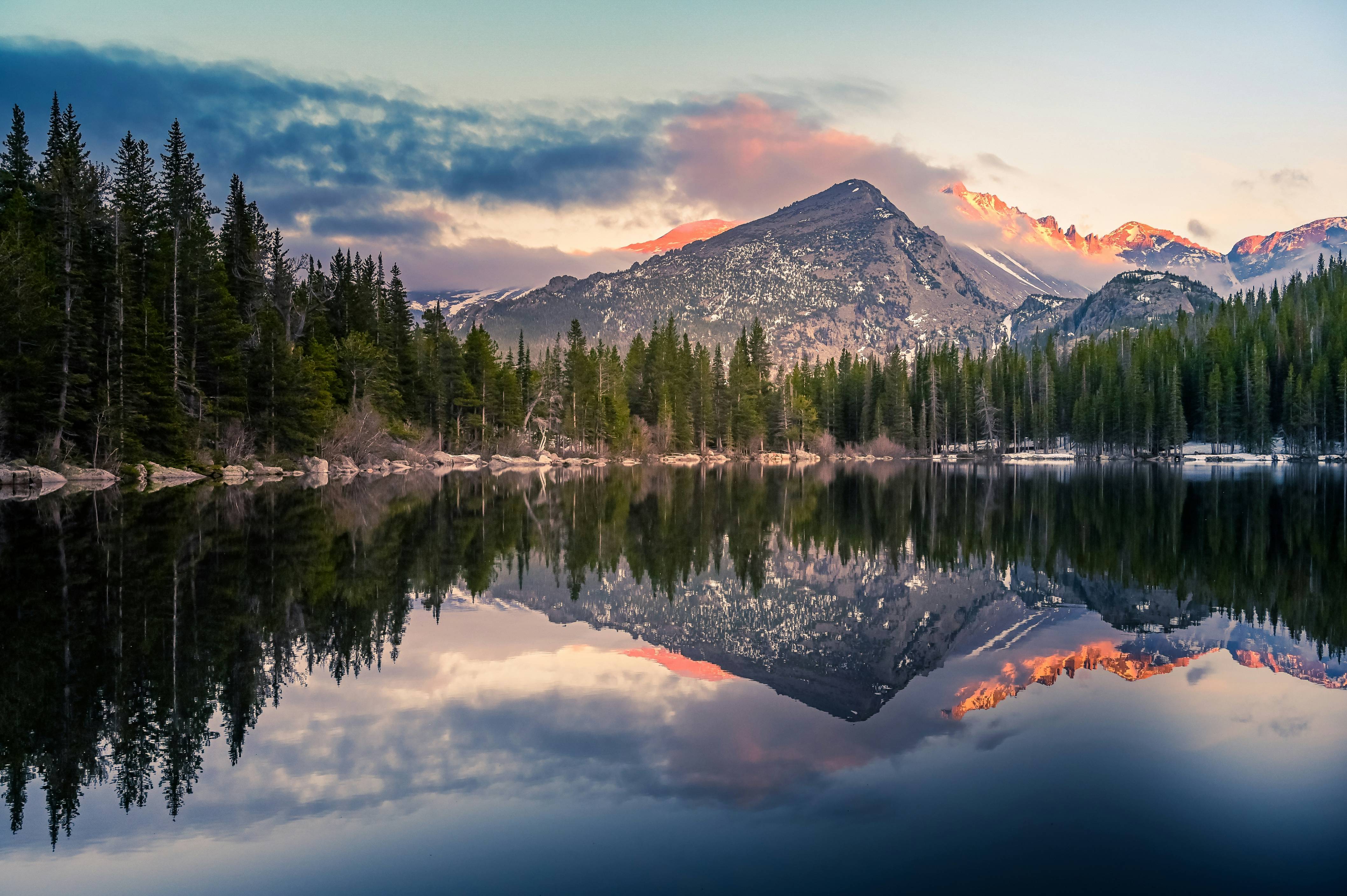 trees reflecting on calm lake